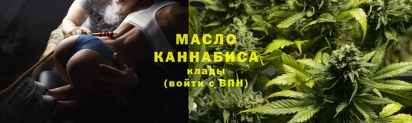 мдпв Богородск