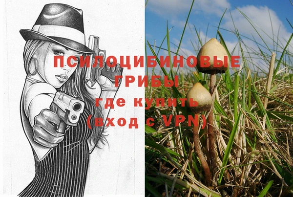 метадон Богородицк