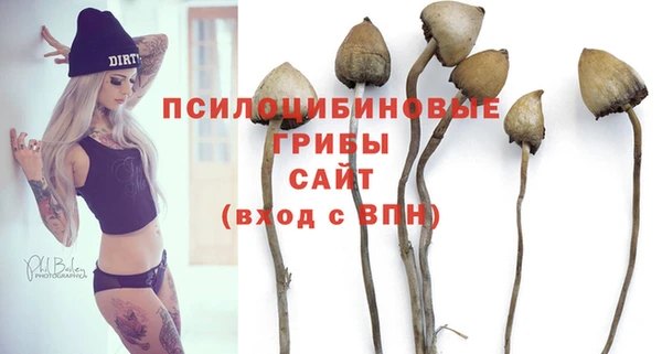 крисы Богданович