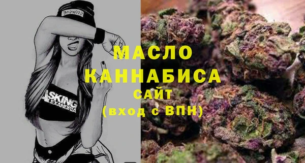 мдпв Богородск
