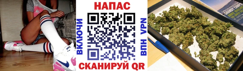 Конопля OG Kush  Брянск 
